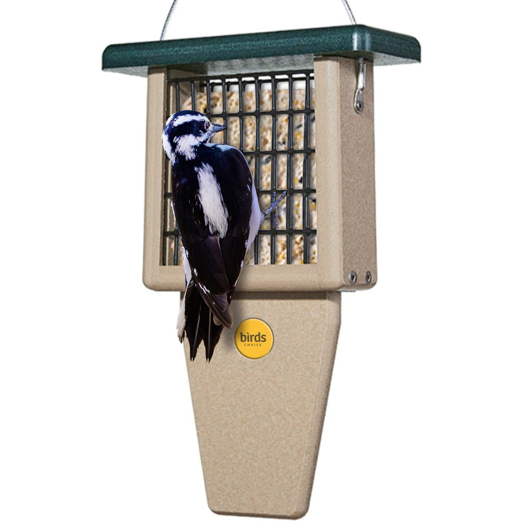 Suet Feeder with Tail Prop for Single Cake in Taupe and Green Recycled Plastic - Birds Choice
