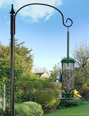 Brome Squirrel Buster Mini Squirrel-proof Bird Feeder - Birds Choice