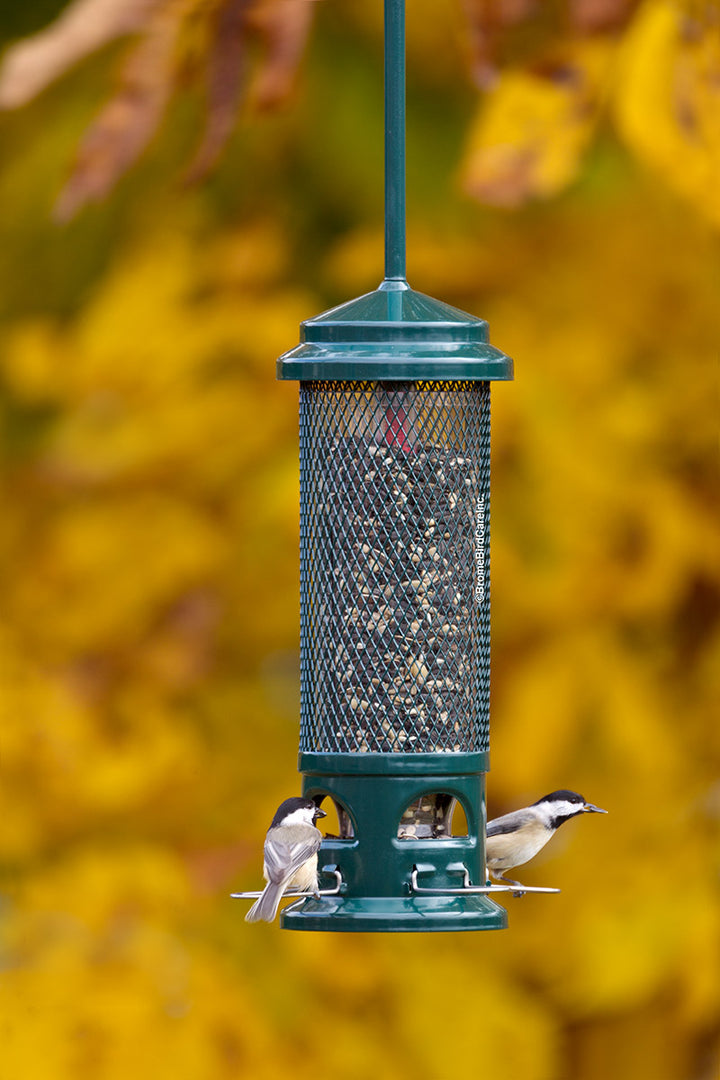 Brome Squirrel Buster Legacy Squirrel-proof Bird Feeder - Birds Choice