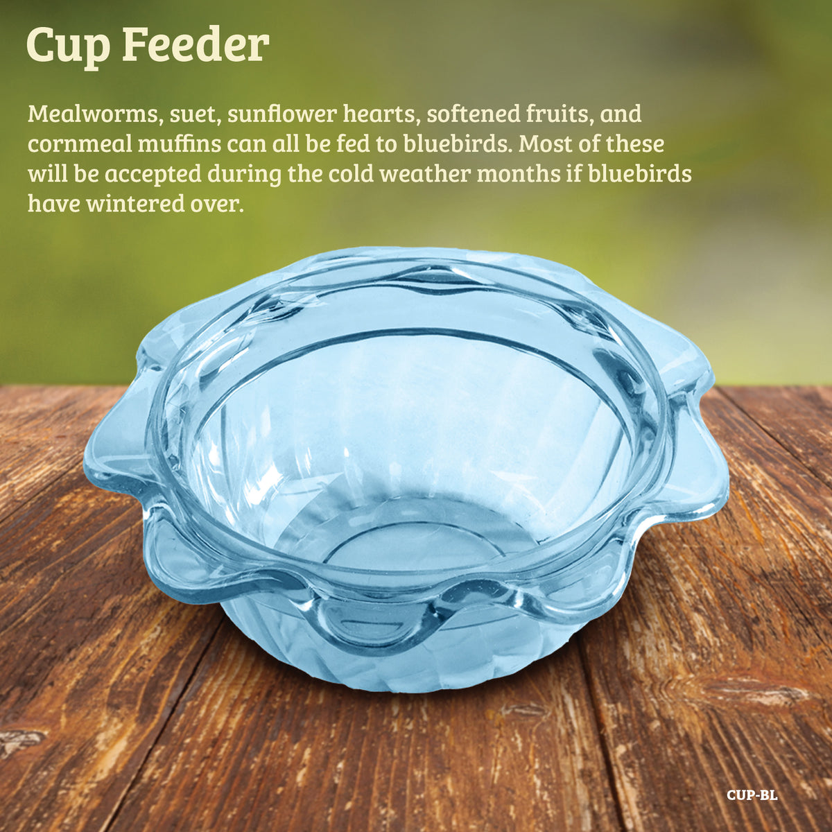 Bluebird Feeder Single Cup for Mealworms and Dried Fruit - Birds Choice