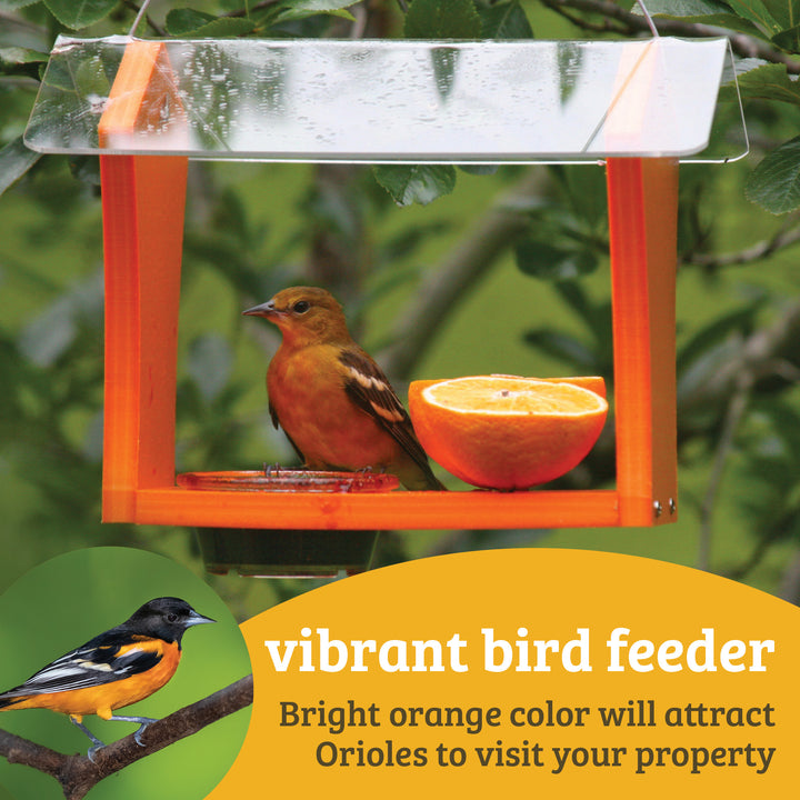 Oriole Bird Feeder in Orange Recycled Plastic - Birds Choice