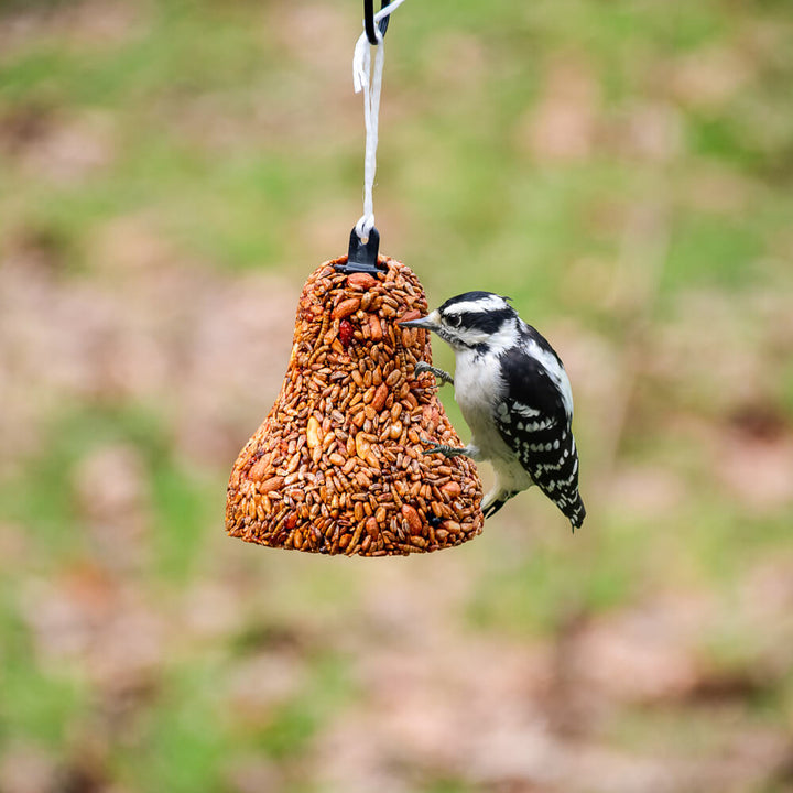 Mr. Bird Flaming Hot Feast - Bell - Birds Choice
