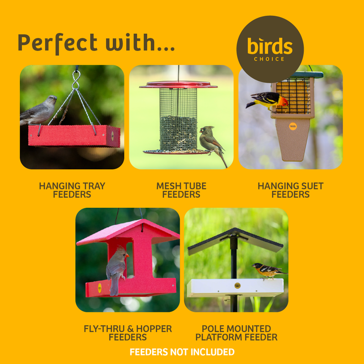 2 Arm Complete Bird Feeder Pole Set with Squirrel Baffle - Birds Choice
