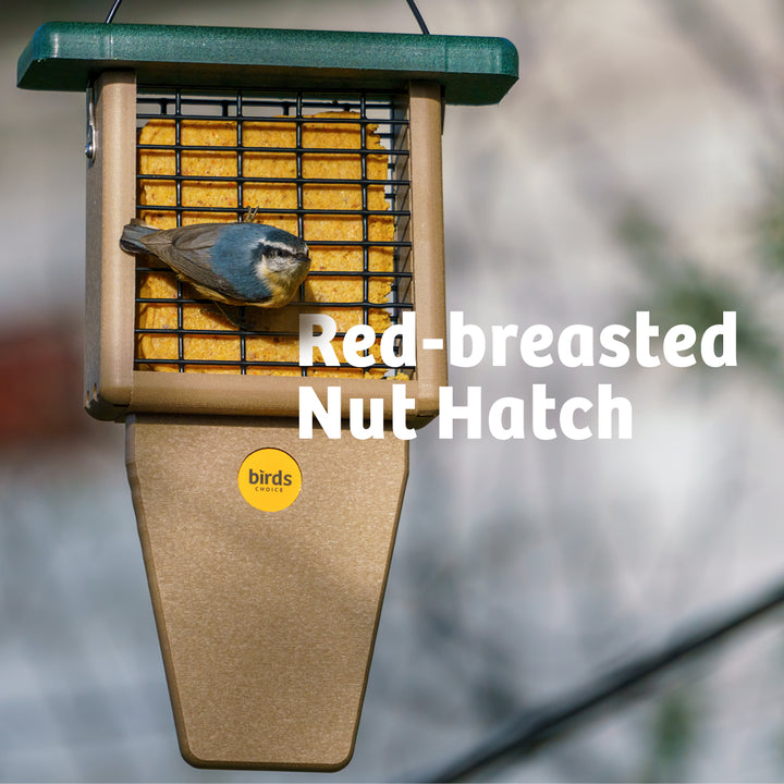 Suet Feeder with Tail Prop for Single Cake in Taupe and Green Recycled Plastic - Birds Choice