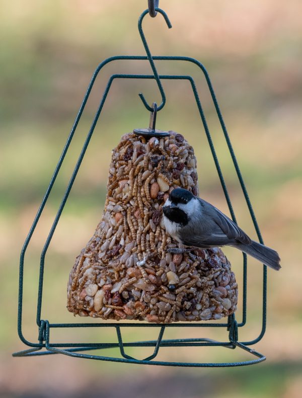 Mr. Bird Seed Bell Hanger - Birds Choice