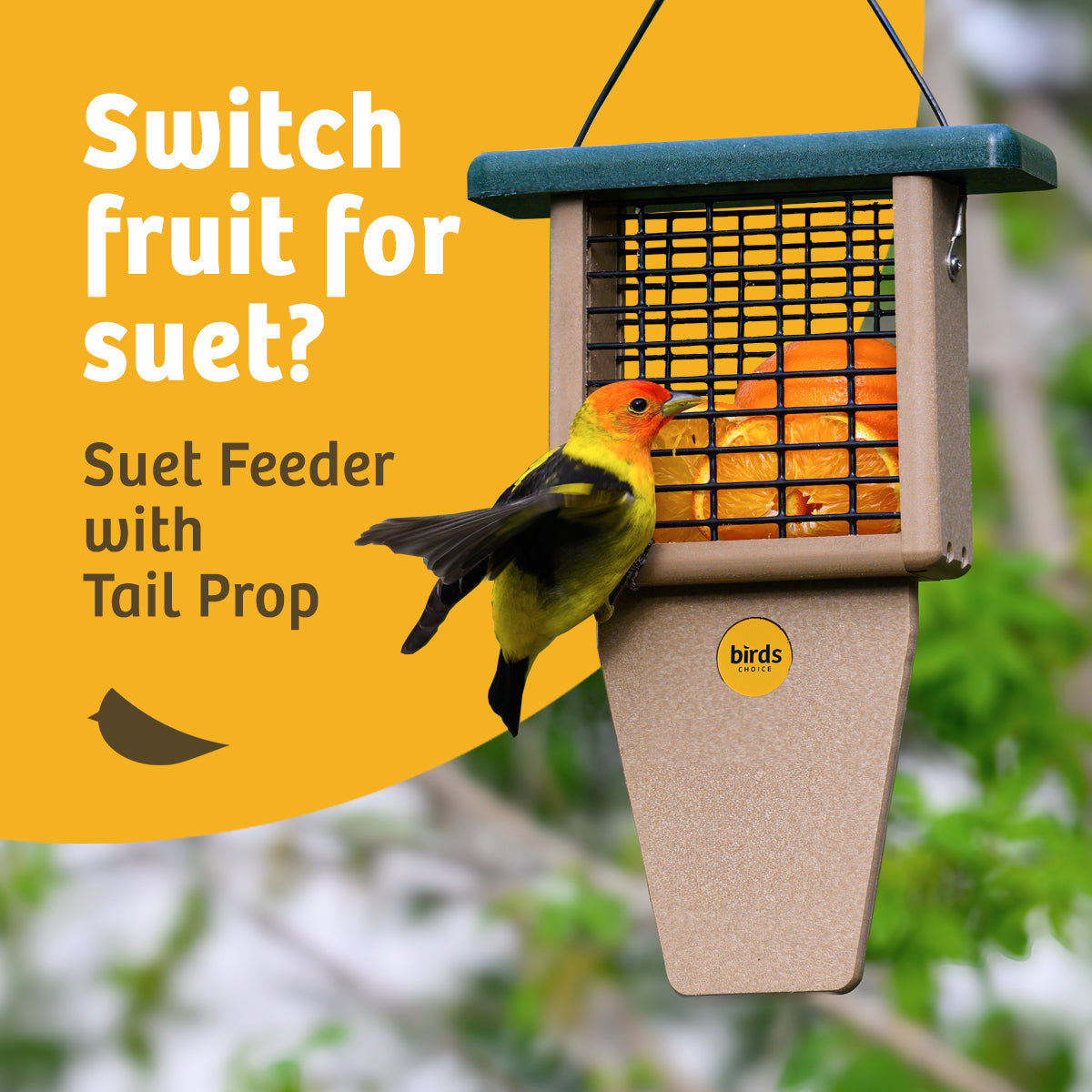 Suet Feeder with Tail Prop for Single Cake in Taupe and Green Recycled Plastic - Birds Choice