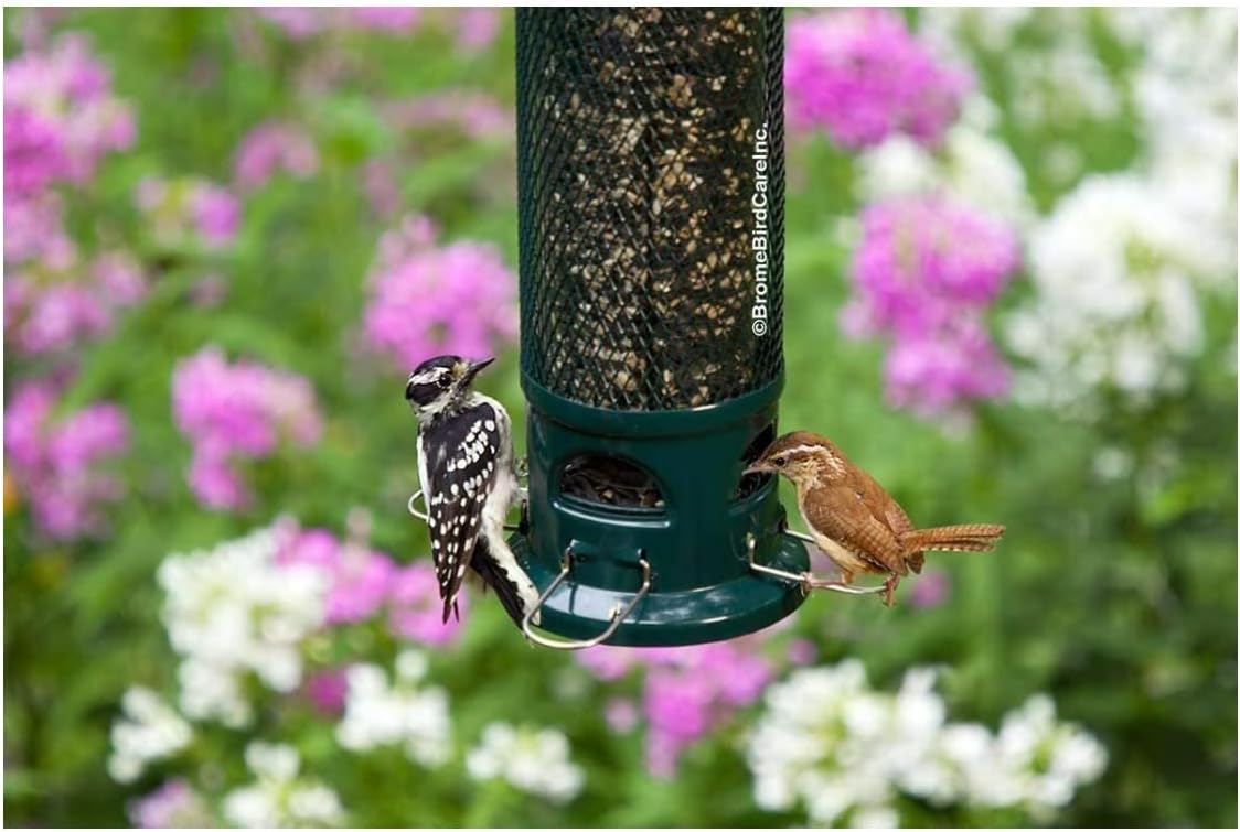Brome Squirrel Buster Legacy Squirrel-proof Bird Feeder - Birds Choice