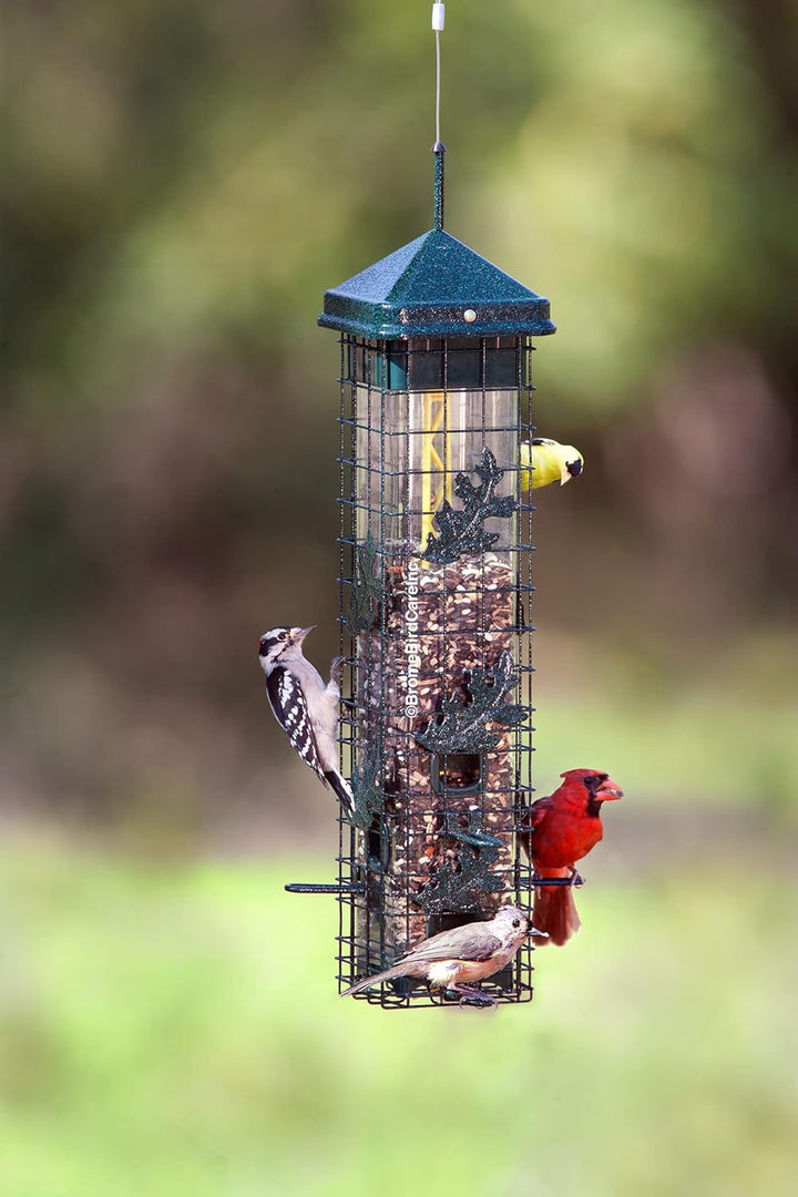 Brome Squirrel Solution 200 Squirrel Proof Feeder - Birds Choice