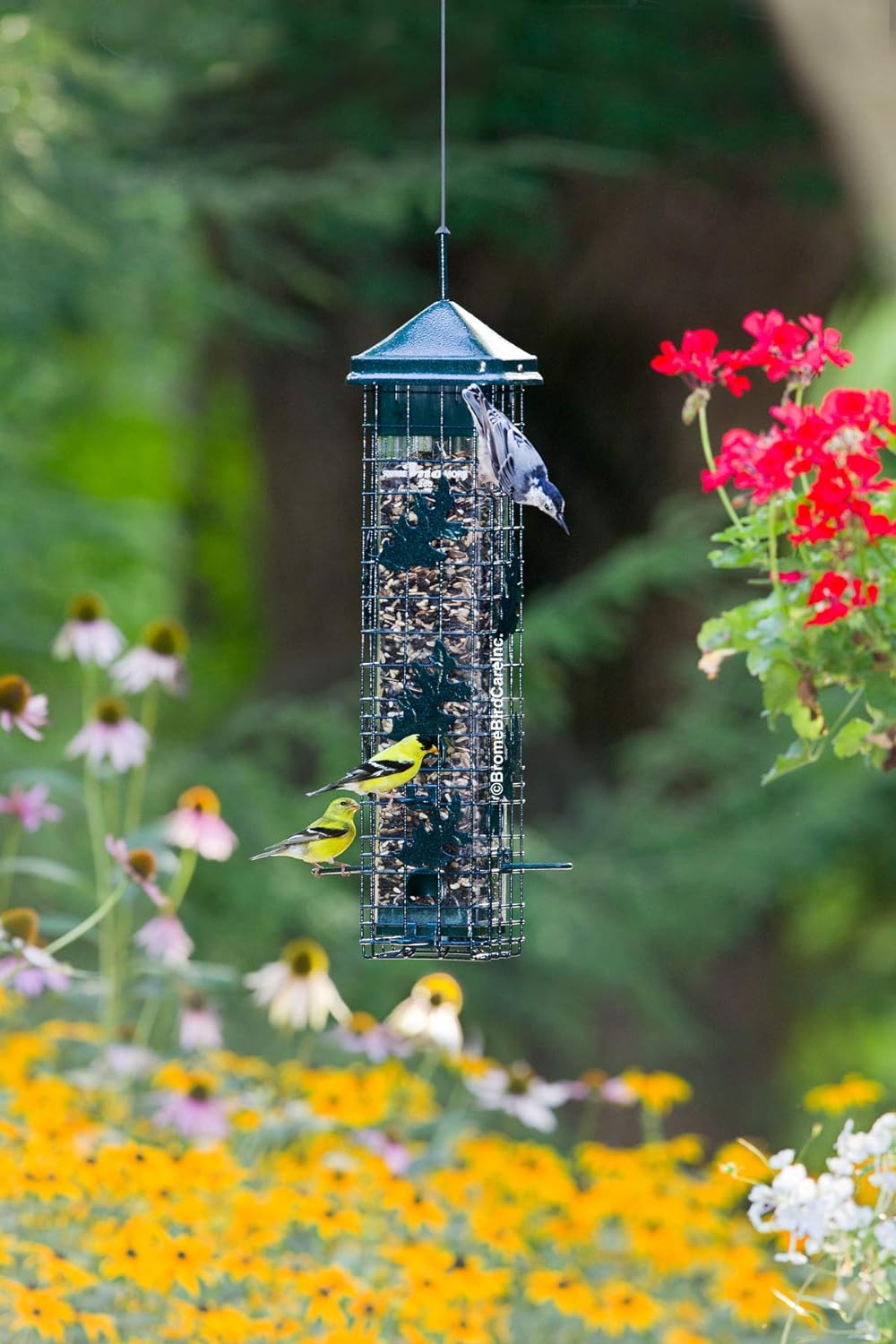 Brome Squirrel Solution 200 Squirrel Proof Feeder - Birds Choice