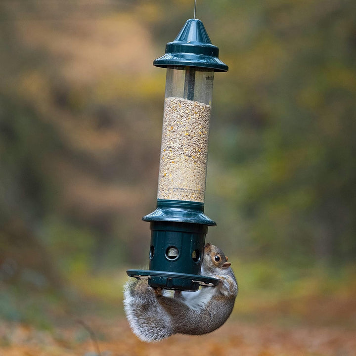 Brome Squirrel Buster Plus Squirrel-proof Bird Feeder w/Cardinal Ring - Birds Choice