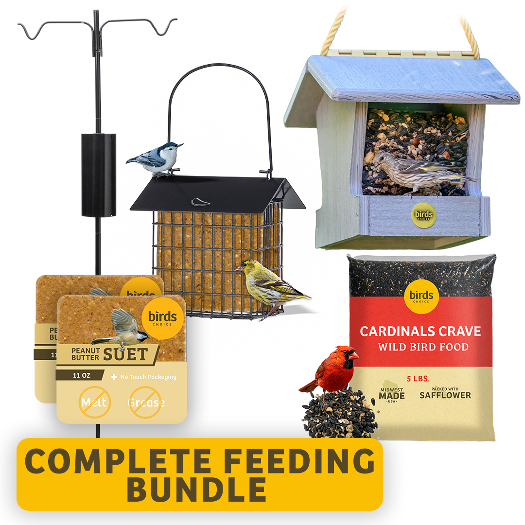Complete Feeding Bundle