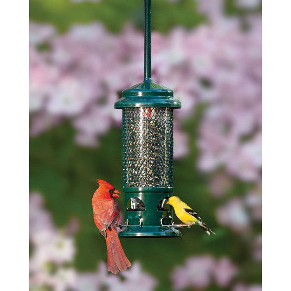Brome Squirrel Buster Standard Squirrel-proof Bird Feeder - Birds Choice
