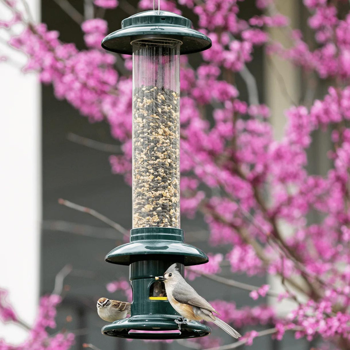 Brome Squirrel Buster Evolution Squirrel-Proof Bird Feeder - Birds Choice