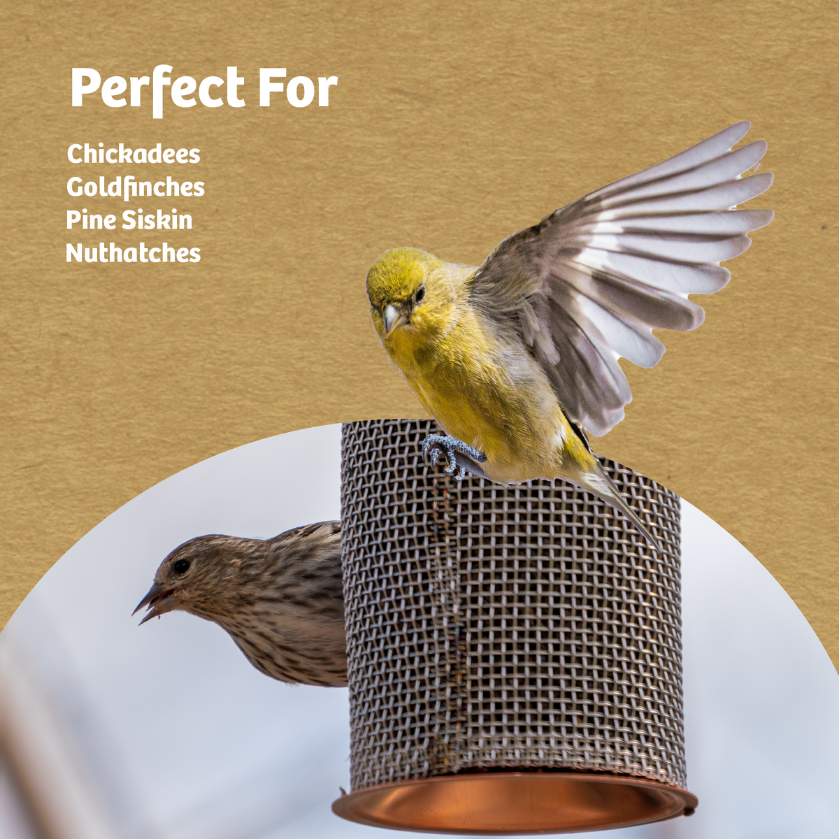 Copper Mesh Tube Feeder for Finches Small - Birds Choice