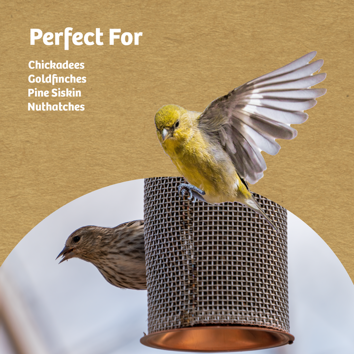 Copper Mesh Tube Feeder for Finches Small - Birds Choice