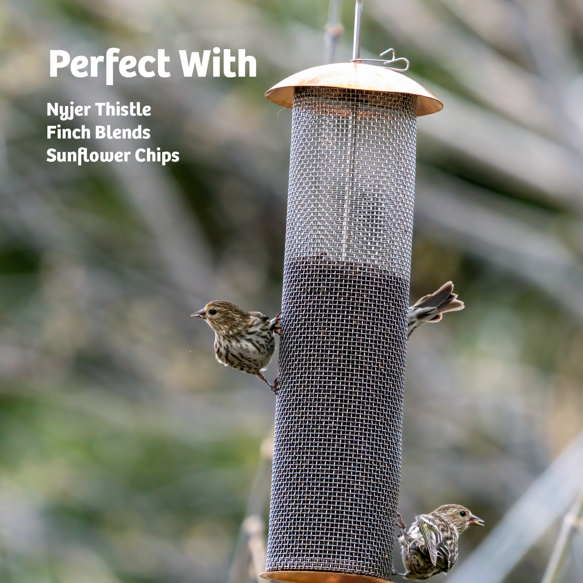 Copper Mesh Tube Feeder for Finches Small - Birds Choice