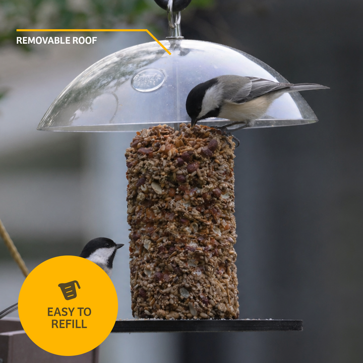 Recycled Plastic Seed Cylinder Feeder - Birds Choice