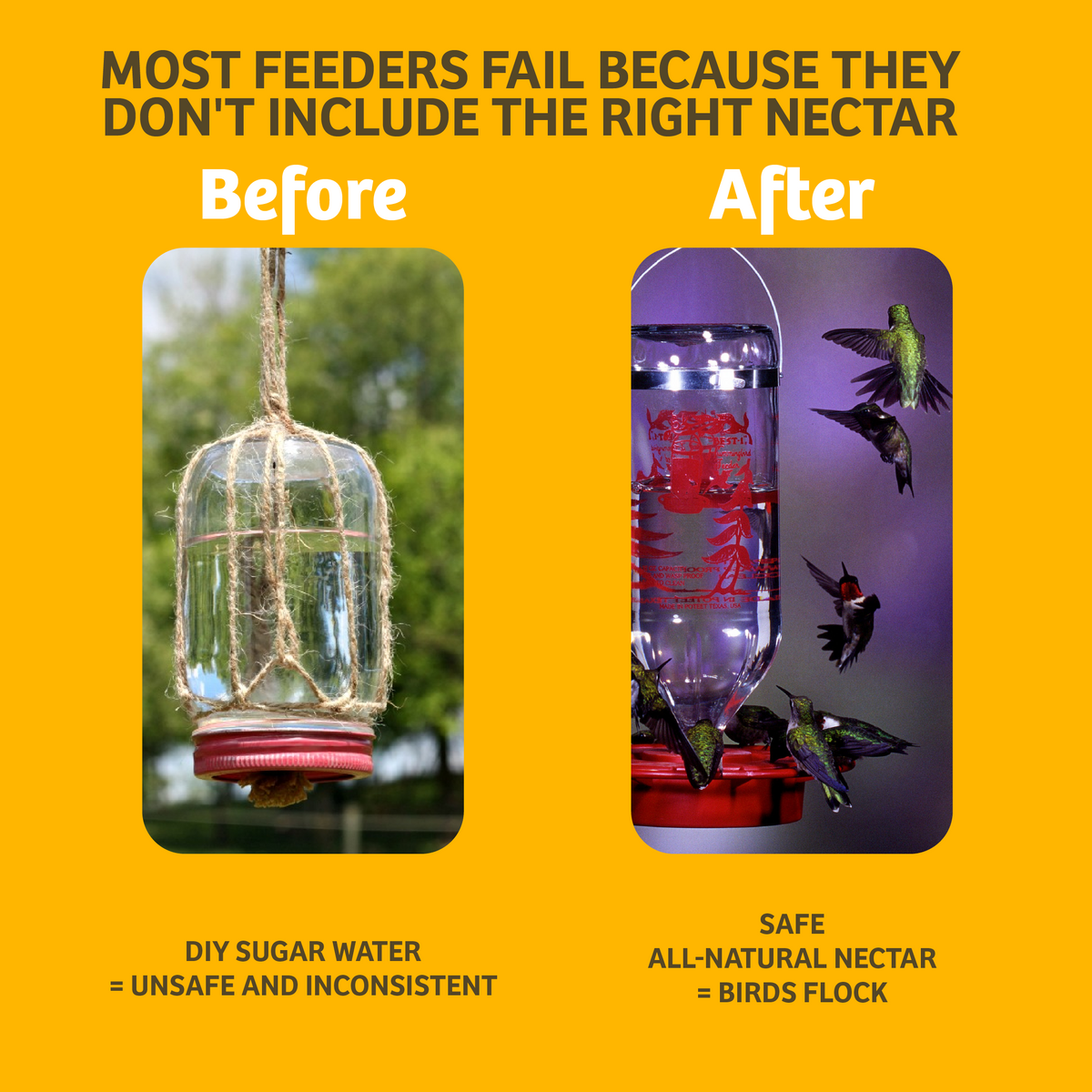 Hummingbird Nectar 64 oz. Bottle - Birds Choice