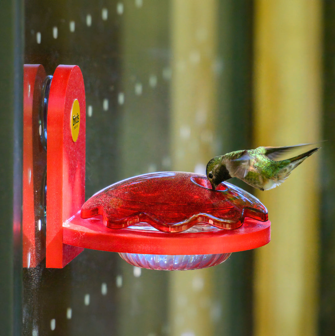 Window Mount Hummingbird Feeder in Red Recycled Plastic - Birds Choice