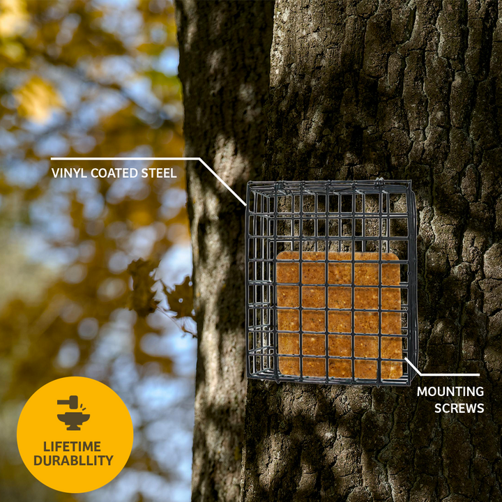 Seed and Suet Block Cage with Hanging Chain - Birds Choice