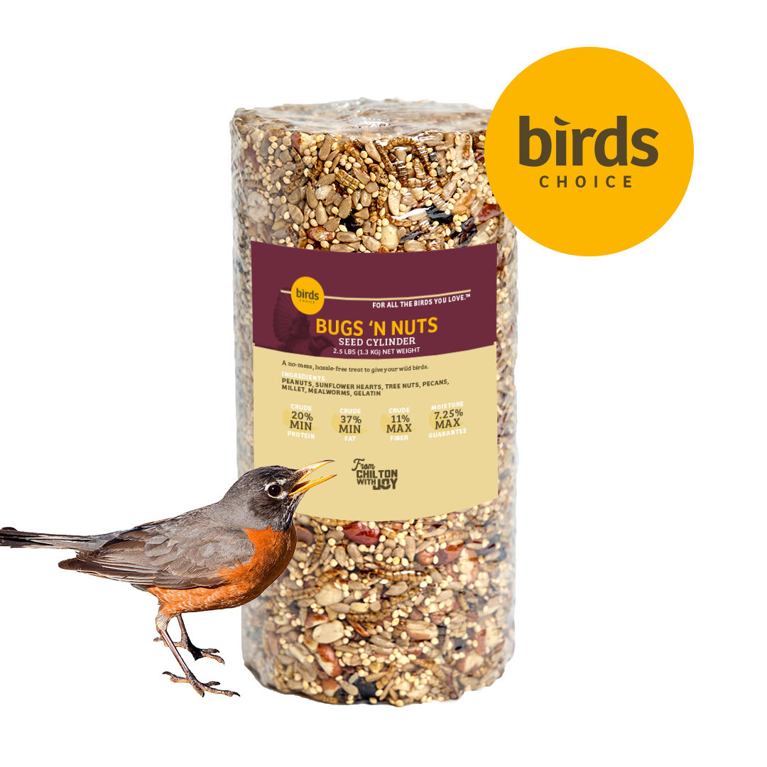 Bugs & Nuts Seed Cylinder - Small - Birds Choice