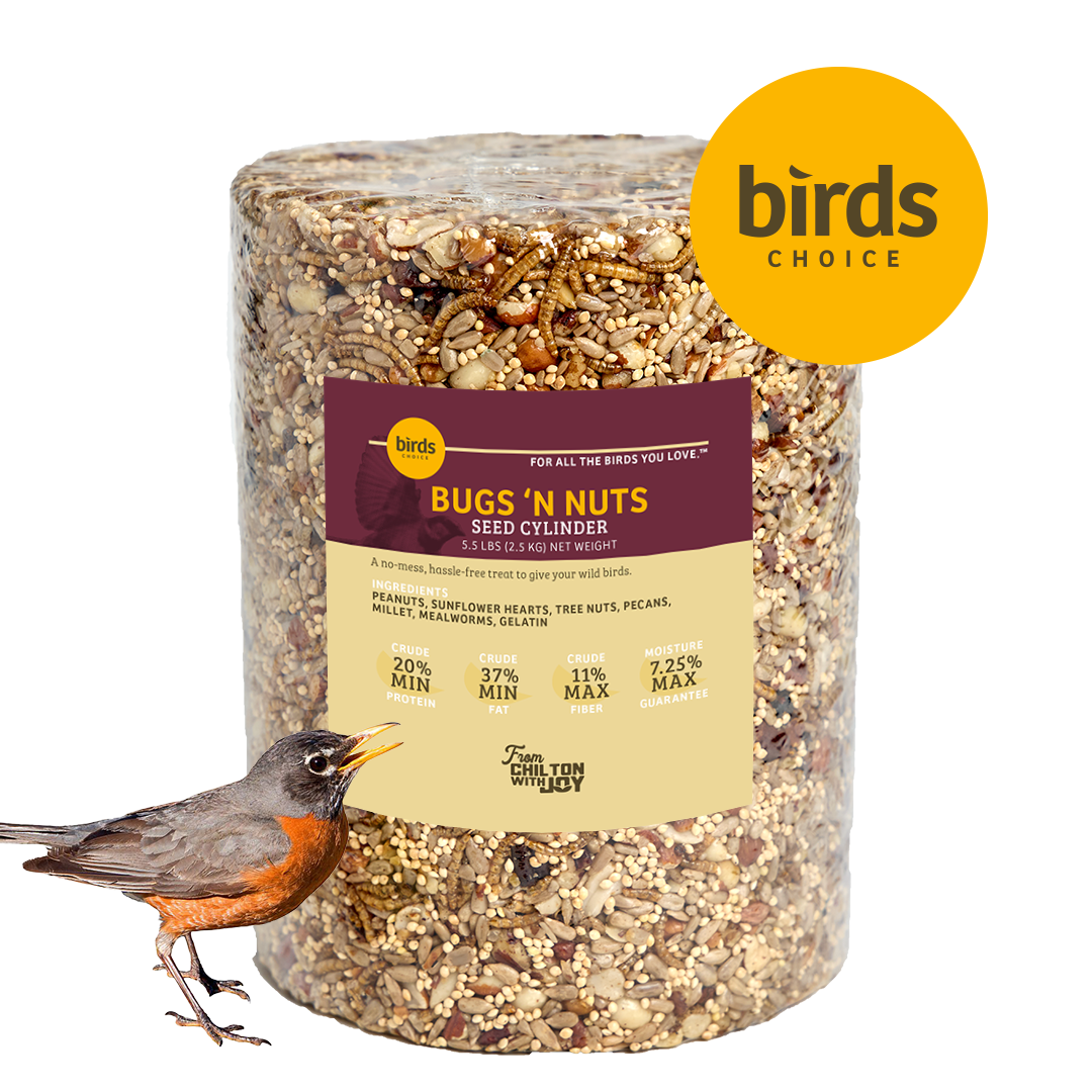 Bugs &amp; Nuts Seed Cylinder - Large - Birds Choice