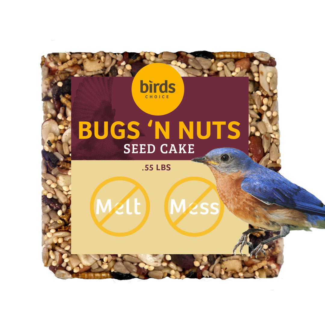 Bugs & Nuts Seed Cake - Birds Choice