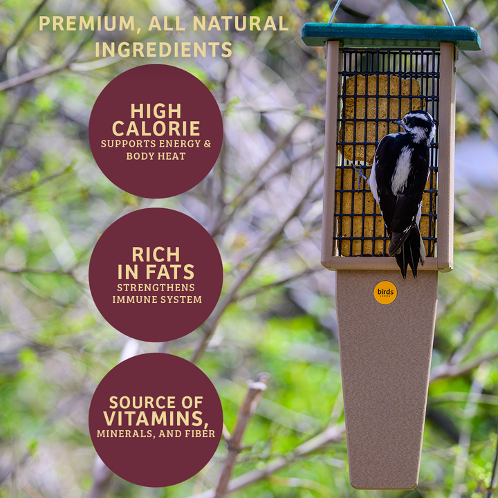 Bugs &amp; Nuts No Melt Suet - 12 Pack - Birds Choice
