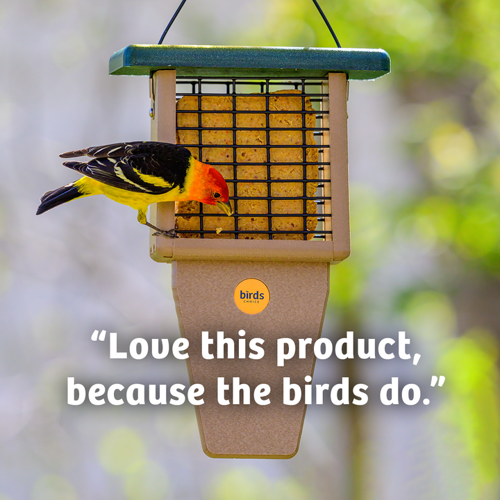 Bugs &amp; Nuts No Melt Suet - Birds Choice