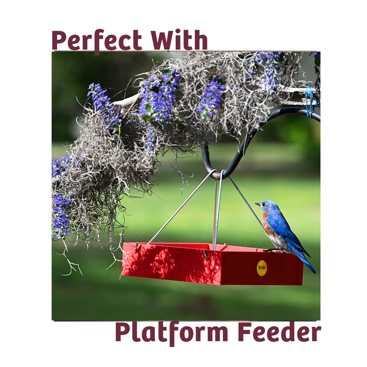 Bugs &amp; Nuts No Melt Suet - Birds Choice