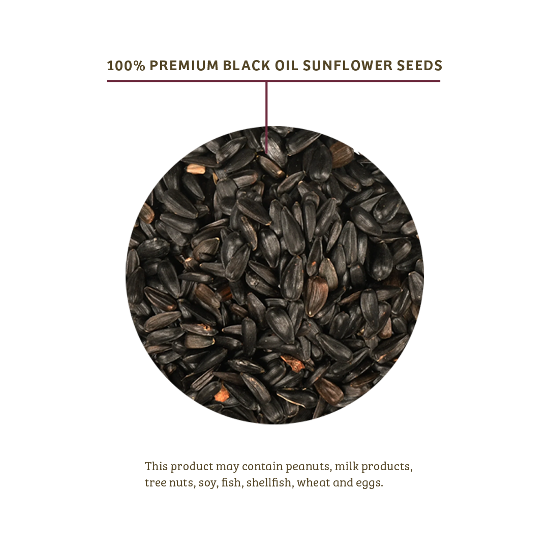 Black Oil Sunflower Wild Bird Food - 15 lbs. - Birds Choice