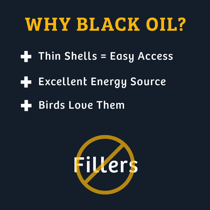 Black Oil Sunflower Wild Bird Food - 15 lbs. - Birds Choice