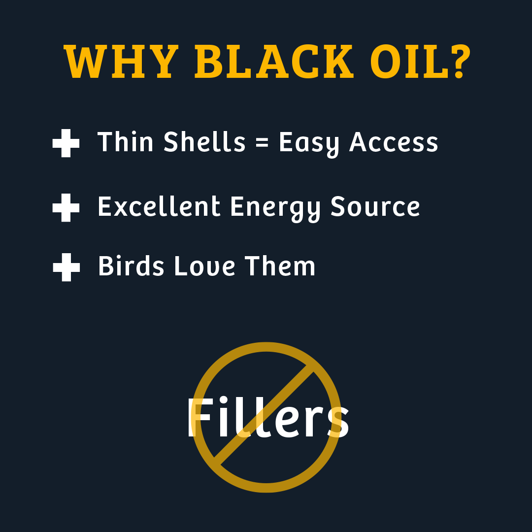 Black Oil Sunflower Wild Bird Food - 25 lbs. - Birds Choice