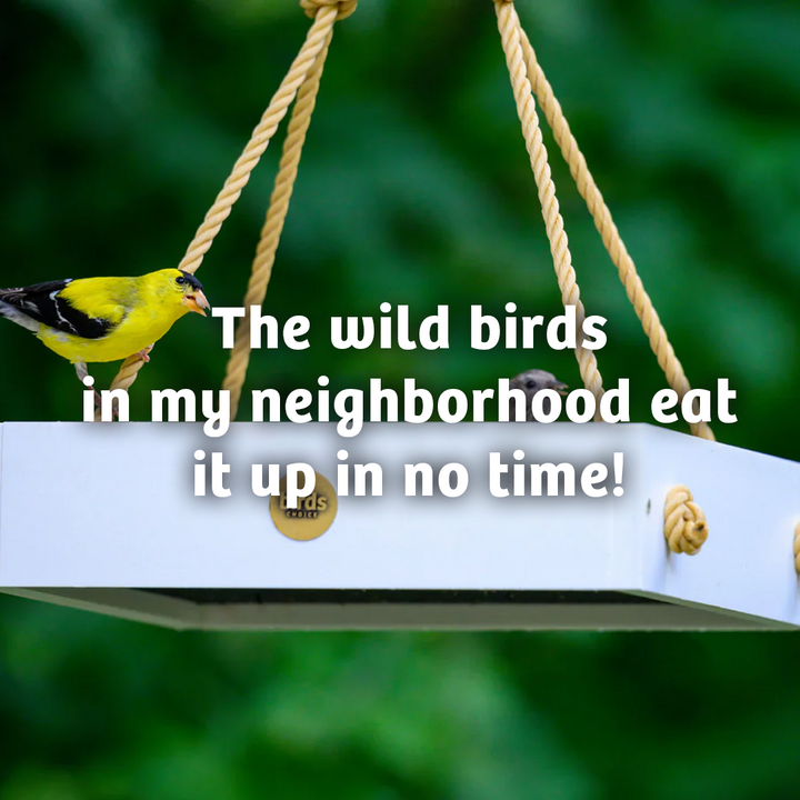 Black Oil Sunflower Wild Bird Food - 15 lbs. - Birds Choice