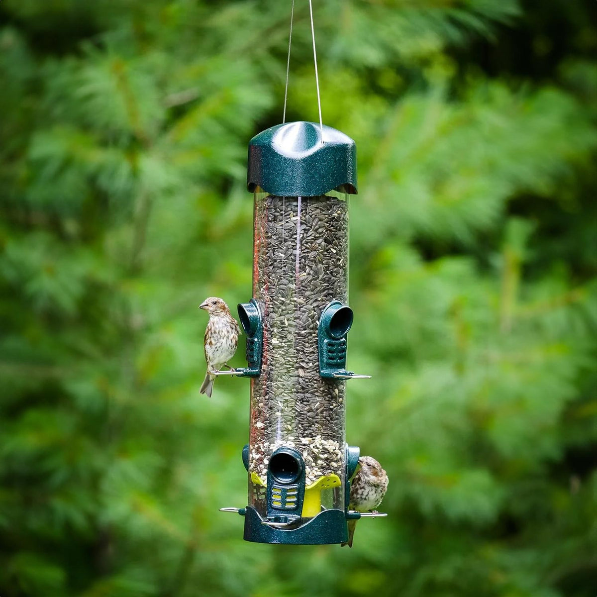 Brome Mega 600 Tube Feeder - Birds Choice
