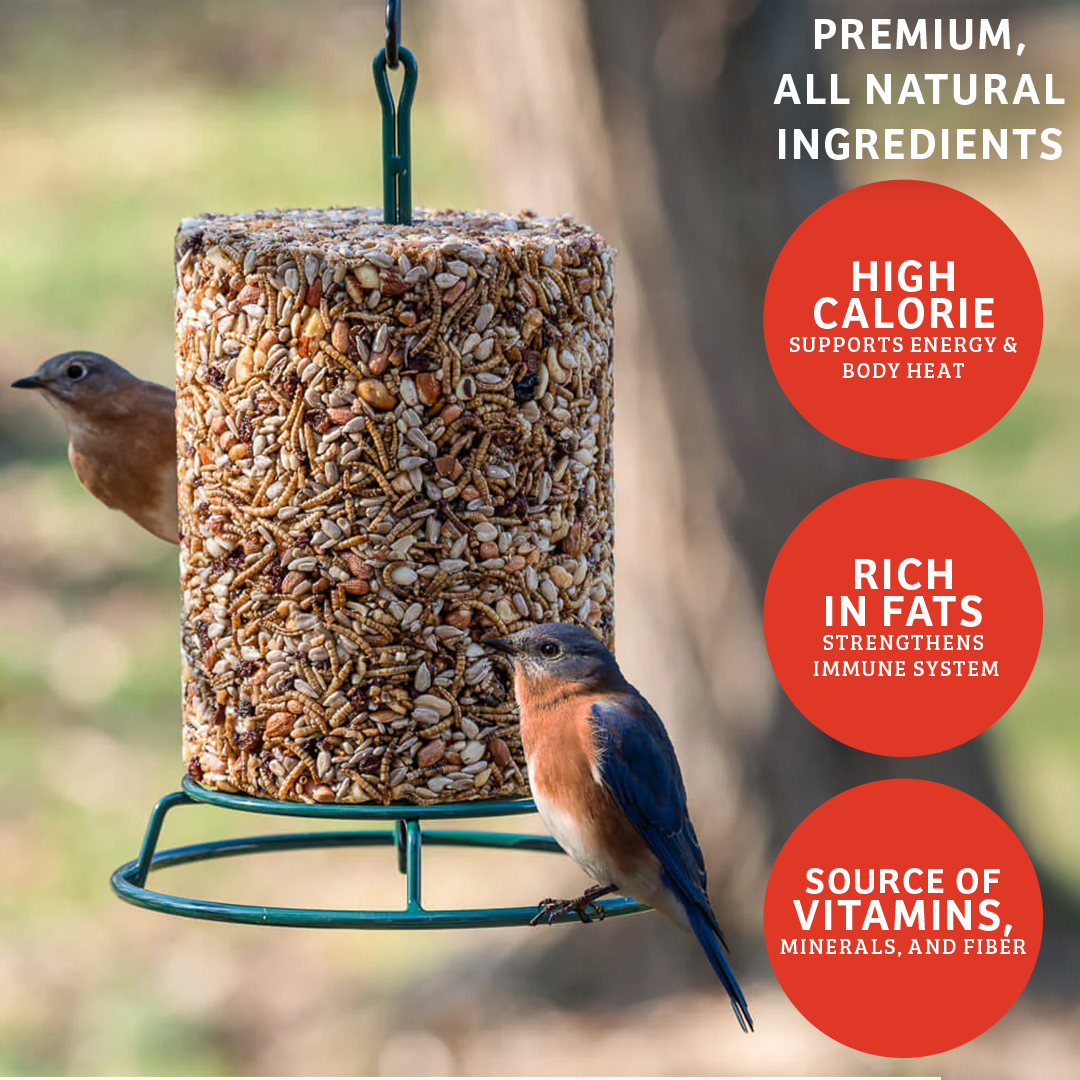 Cardinals Crave Seed Cylinder - Small - Birds Choice