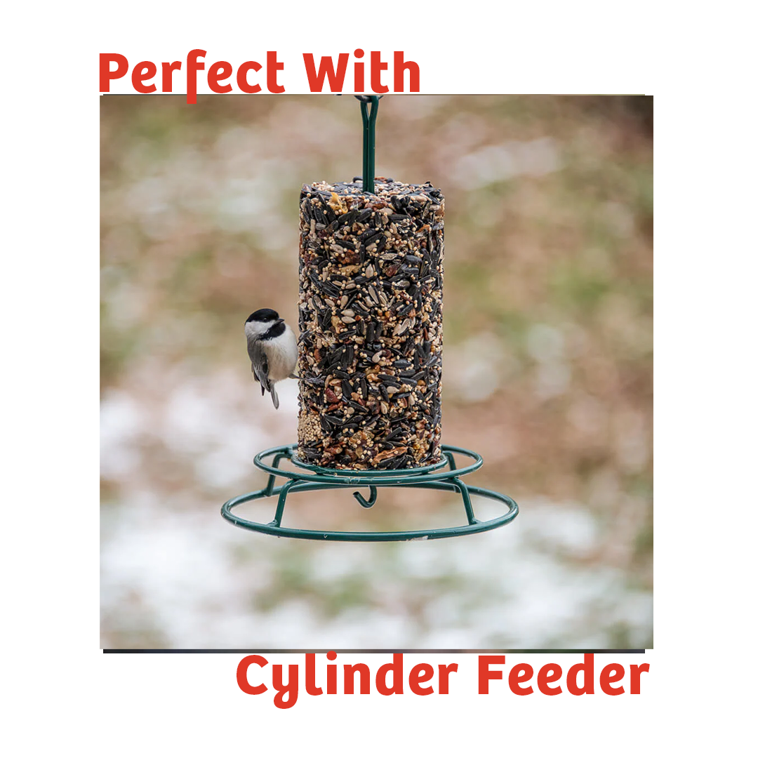 Cardinals Crave Seed Cylinder - Large - Birds Choice