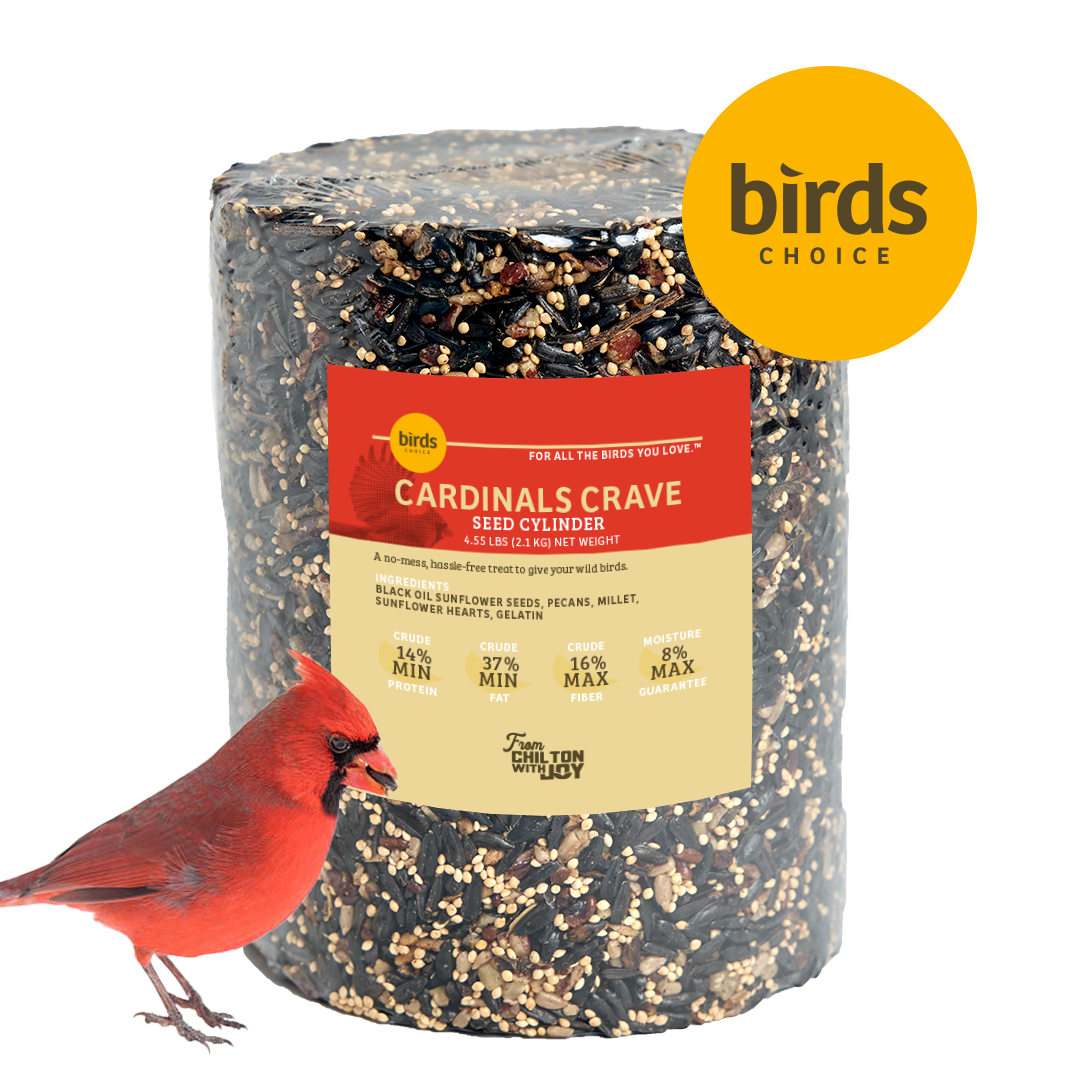 Cardinals Crave Seed Cylinder - Large - Birds Choice