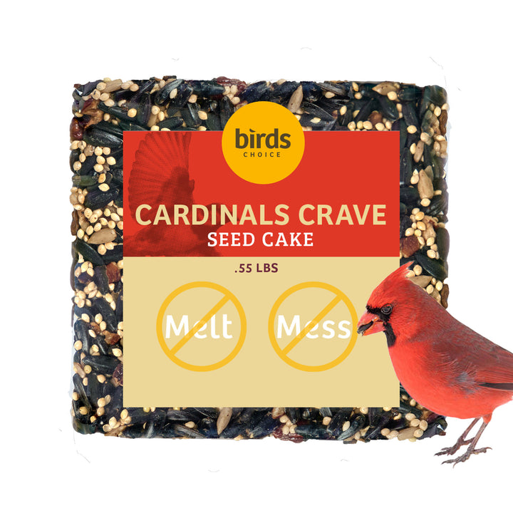Cardinals Crave Seed Cake - Birds Choice