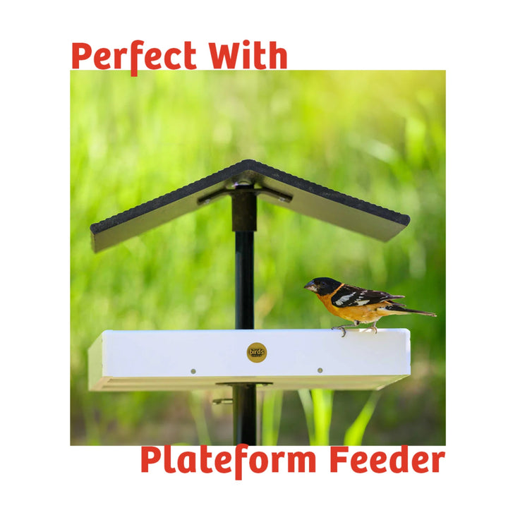 Cardinals Crave Seed Cake - Birds Choice