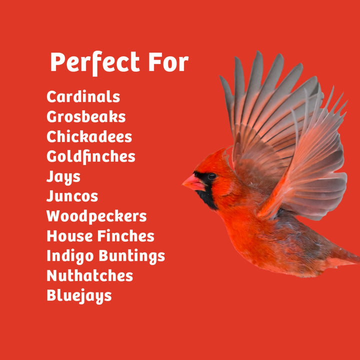 Cardinals Crave Seed Cake - Birds Choice