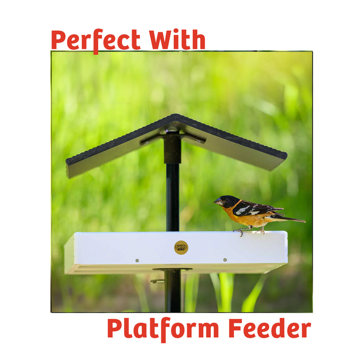 Cardinals Crave Wild Bird Food - 10 lbs. - Birds Choice