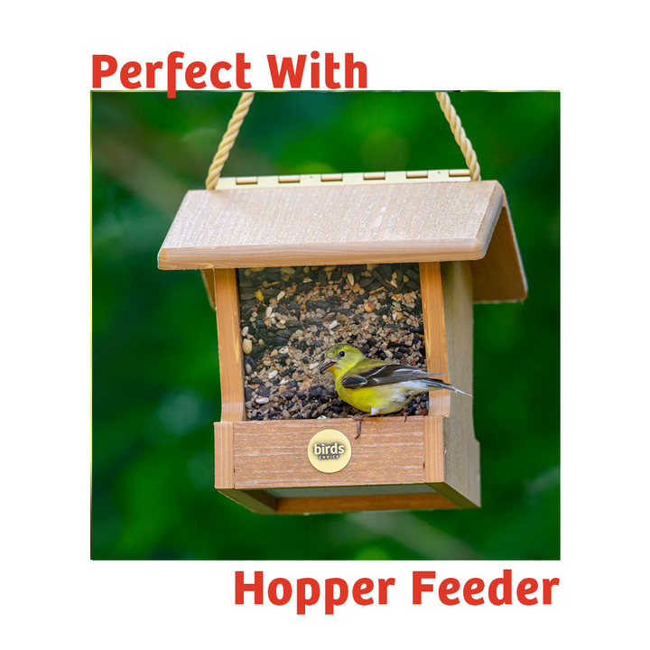Cardinals Crave Wild Bird Food - 10 lbs. - Birds Choice