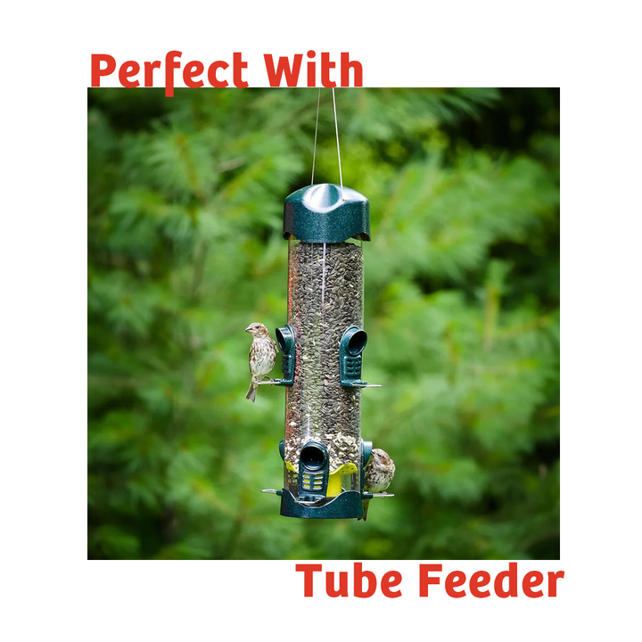 Cardinals Crave Wild Bird Food - 5 lbs. - Birds Choice