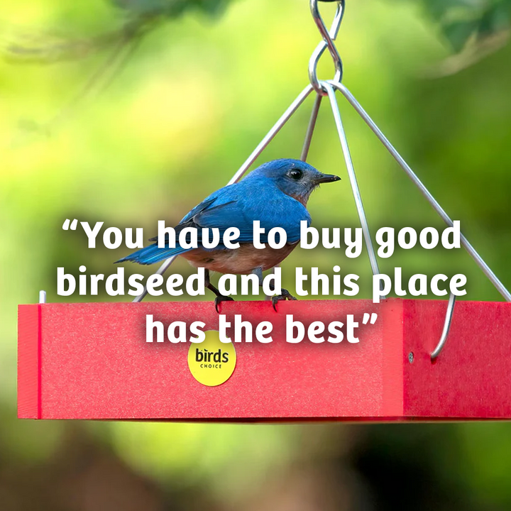 Cardinals Crave Wild Bird Food - 5 lbs. - Birds Choice