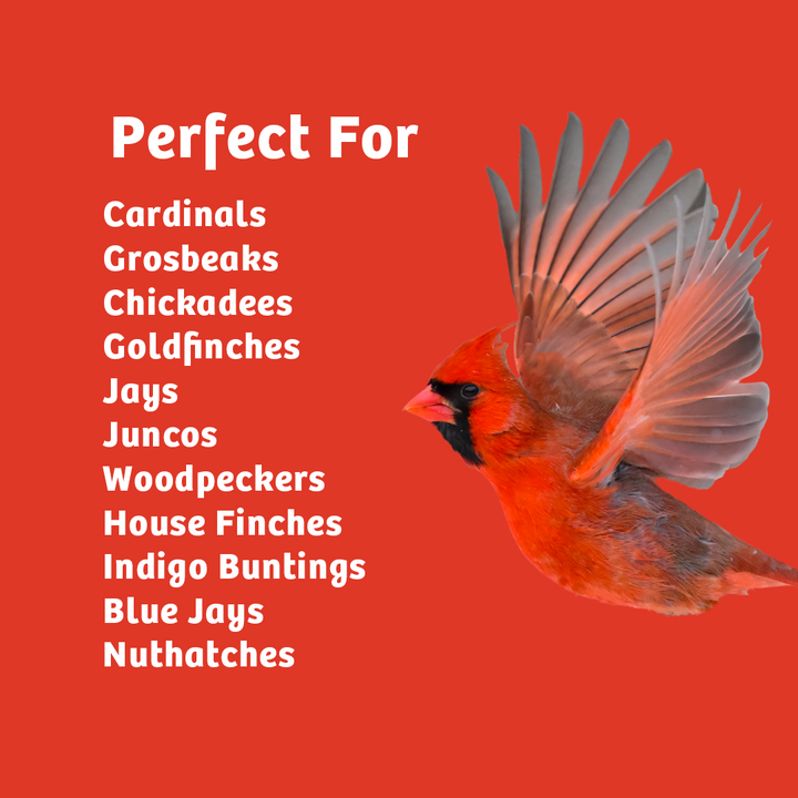 Cardinals Crave Wild Bird Food - 10 lbs. - Birds Choice