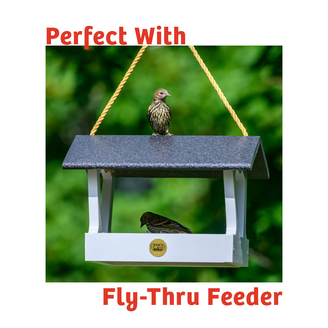 Cardinals Crave Wild Bird Food - 5 lbs. - Birds Choice