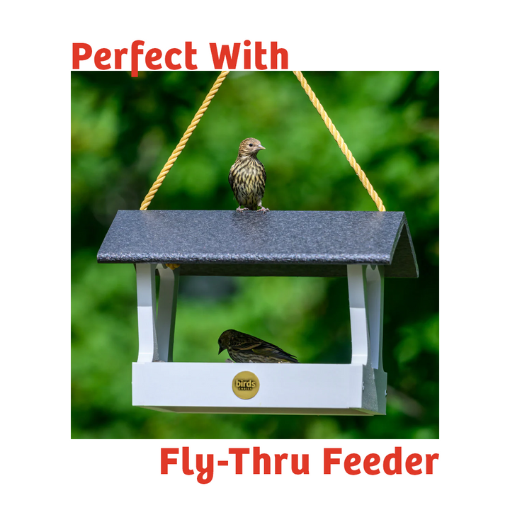 Cardinals Crave Wild Bird Food - 5 lbs. - Birds Choice