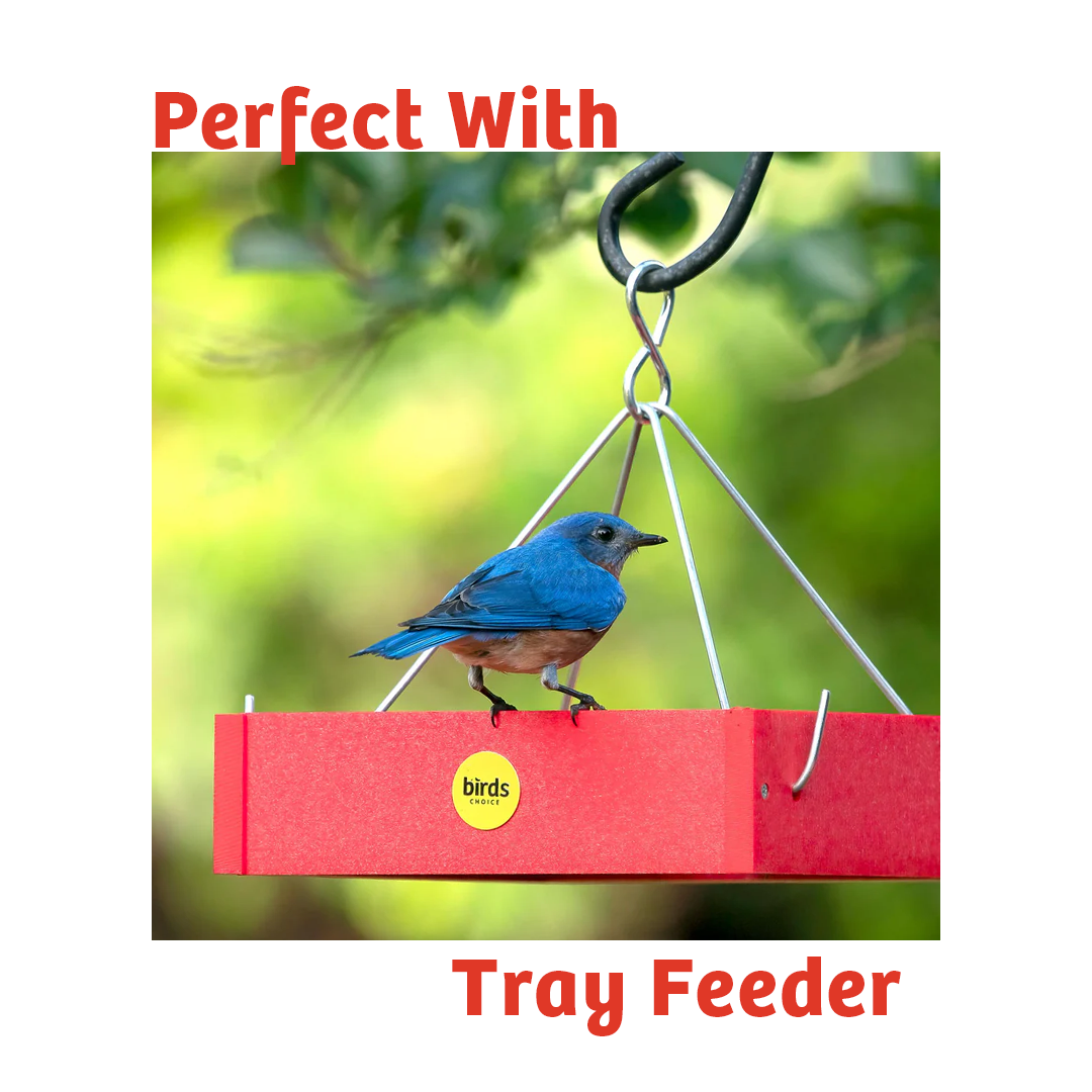 Cardinals Crave Wild Bird Food - 10 lbs. - Birds Choice