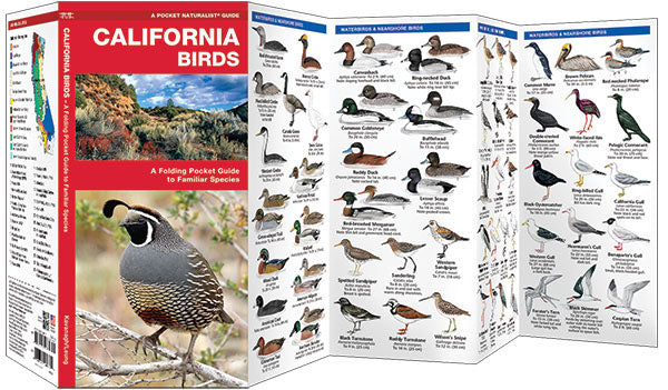 California Birds Pocket Guide - Birds Choice